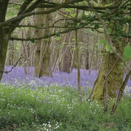 Sentier Du Denacre Semesterbostad Wimille